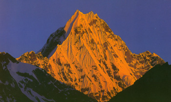 gold hill